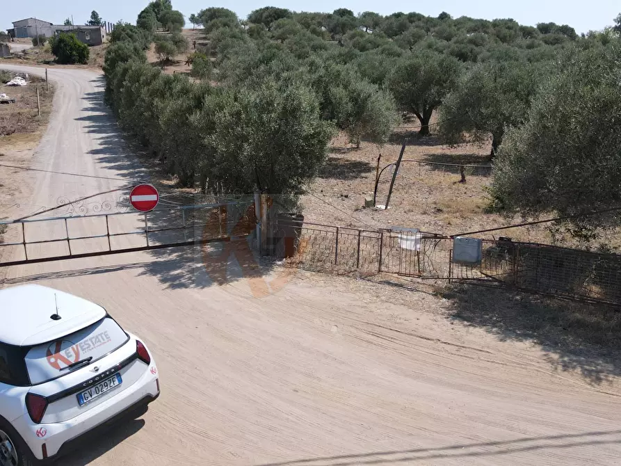 Immagine 2 di Terreno agricolo in vendita  in ss 128 snc a Monastir