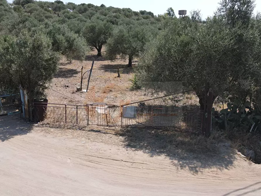 Immagine 3 di Terreno agricolo in vendita  in ss 128 snc a Monastir