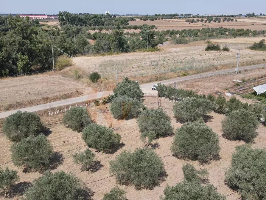 Immagine 5 di Terreno agricolo in vendita  in ss 128 snc a Monastir
