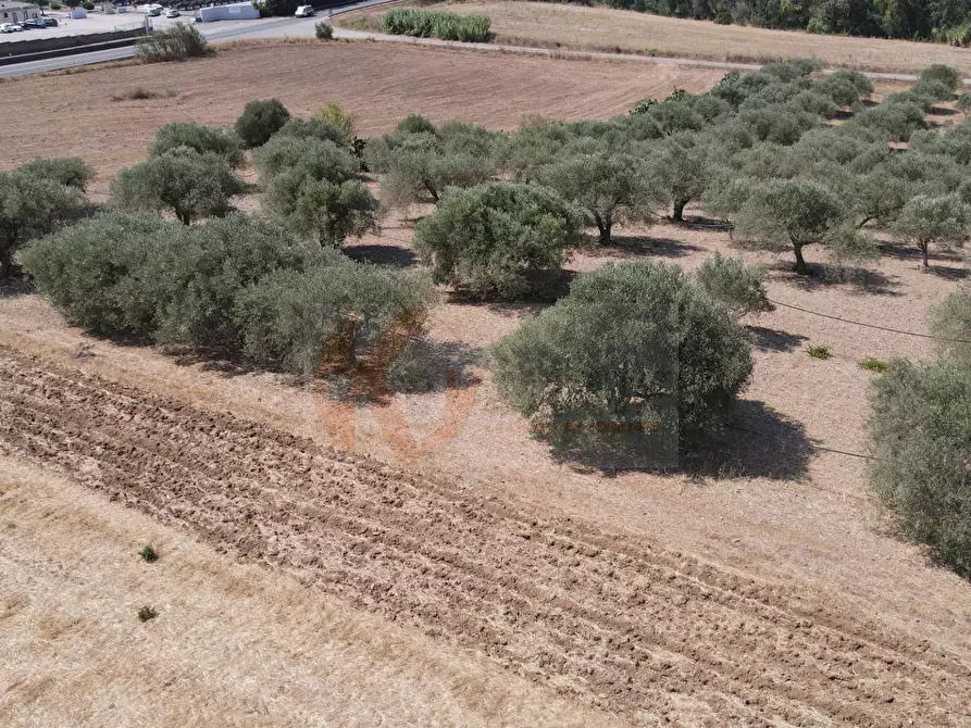 Immagine 8 di Terreno agricolo in vendita  in ss 128 snc a Monastir