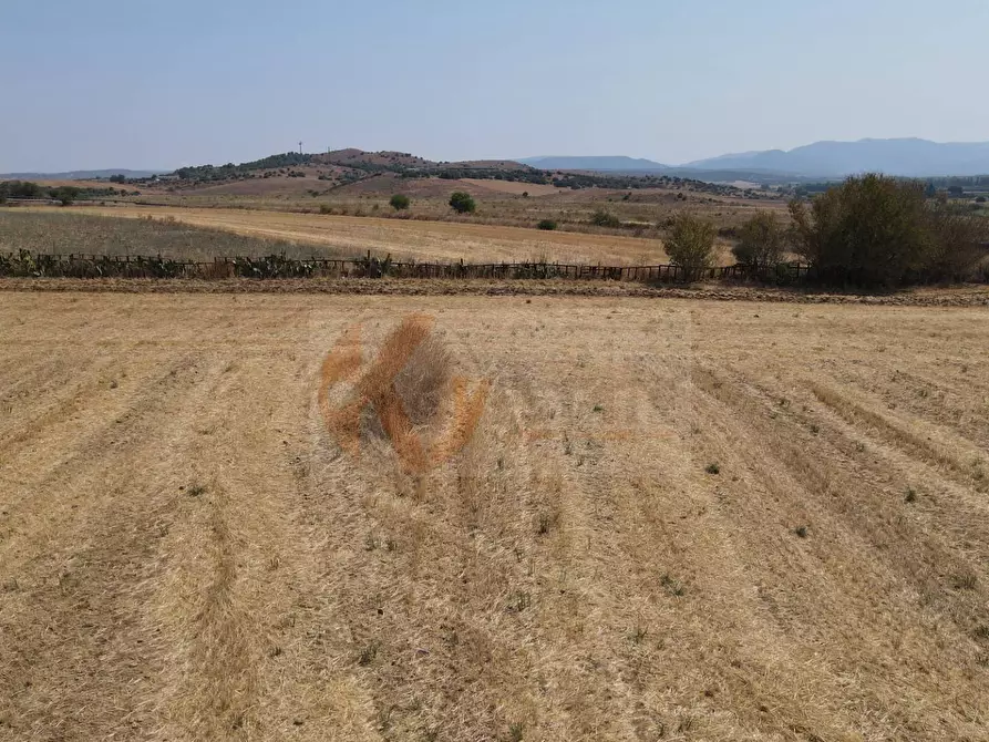 Immagine 10 di Terreno agricolo in vendita  in ss 128 snc a Monastir