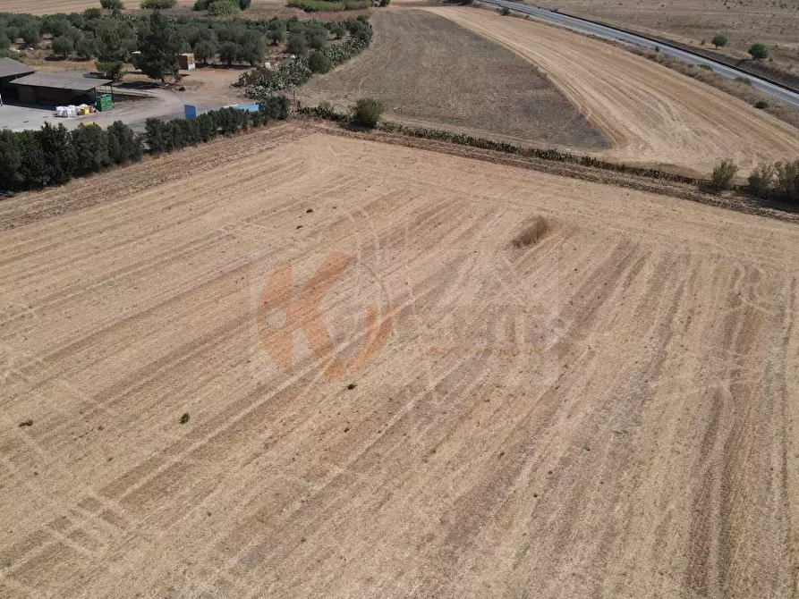 Immagine 11 di Terreno agricolo in vendita  in ss 128 snc a Monastir