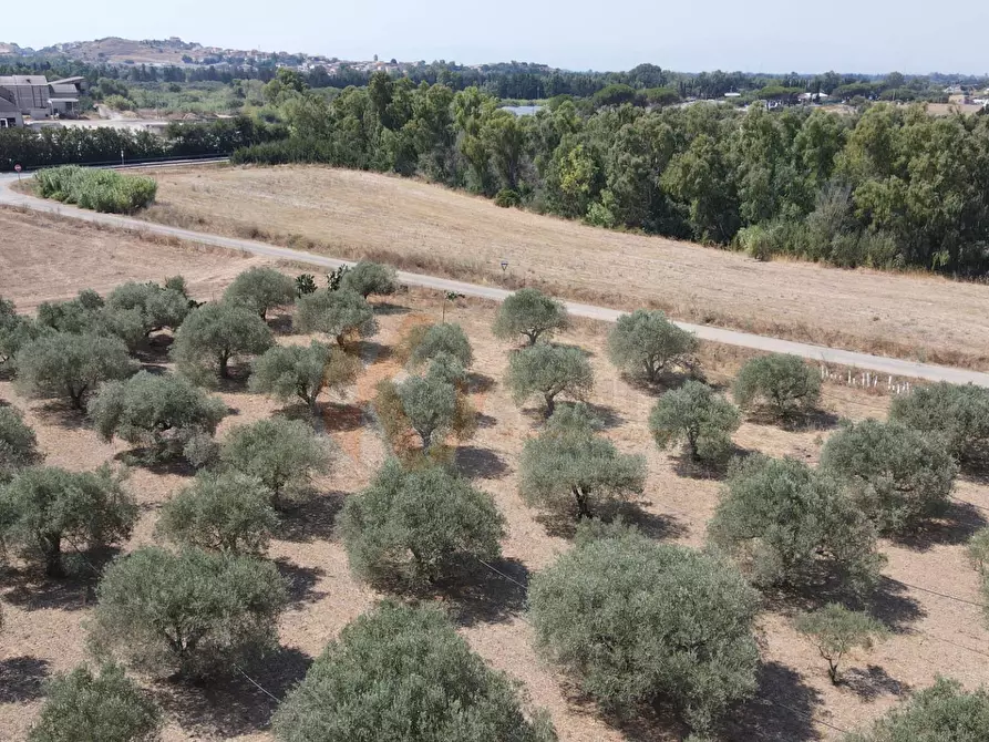 Immagine 14 di Terreno agricolo in vendita  in ss 128 snc a Monastir