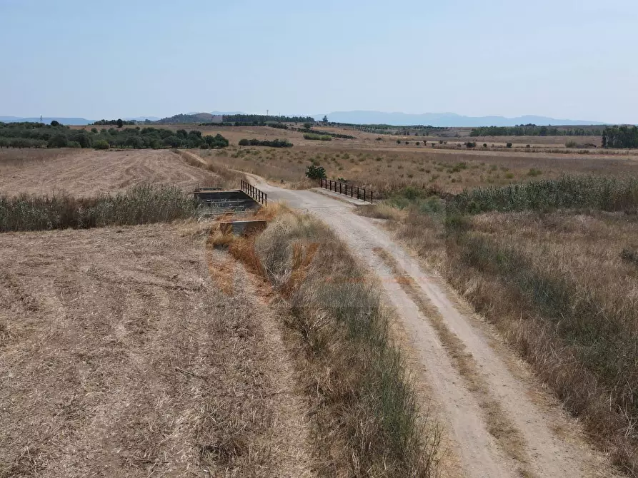 Immagine 3 di Terreno agricolo in vendita  in ss 128 snc a Monastir