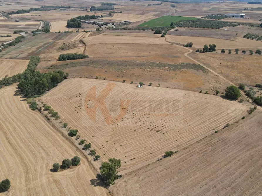 Immagine 4 di Terreno agricolo in vendita  in ss 128 snc a Monastir