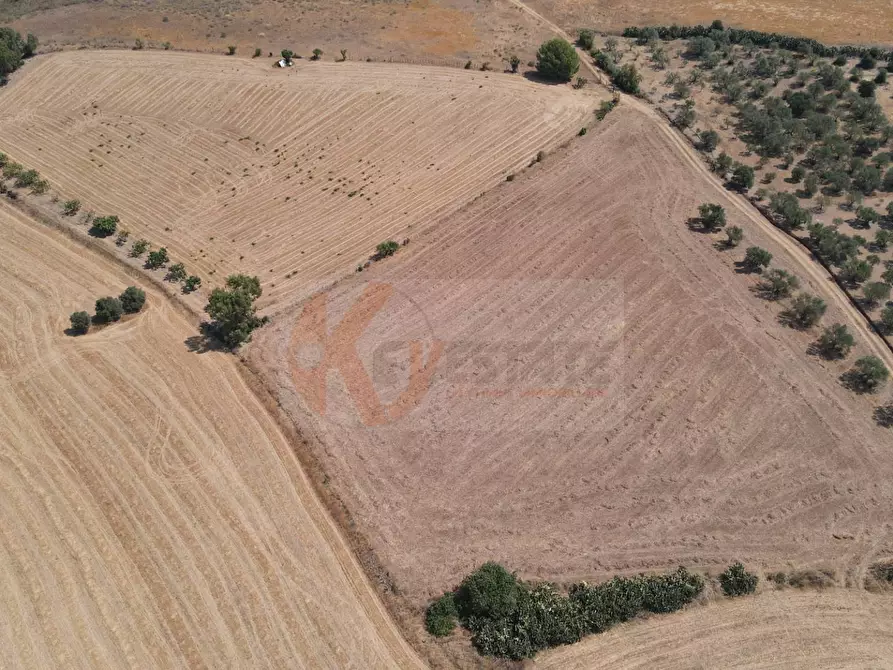 Immagine 6 di Terreno agricolo in vendita  in ss 128 snc a Monastir