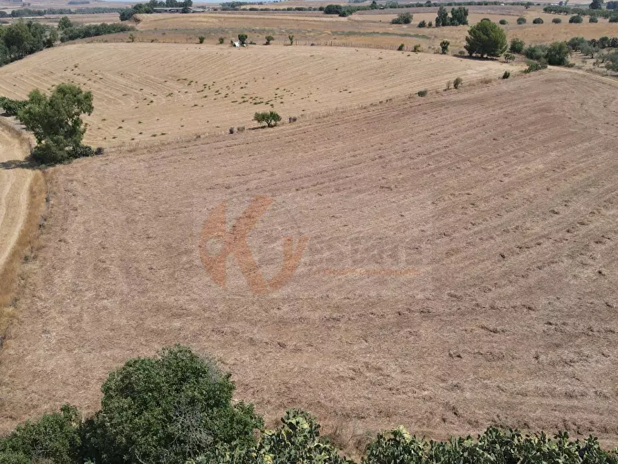 Immagine 7 di Terreno agricolo in vendita  in ss 128 snc a Monastir