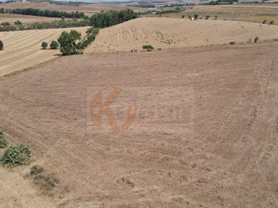 Immagine 8 di Terreno agricolo in vendita  in ss 128 snc a Monastir