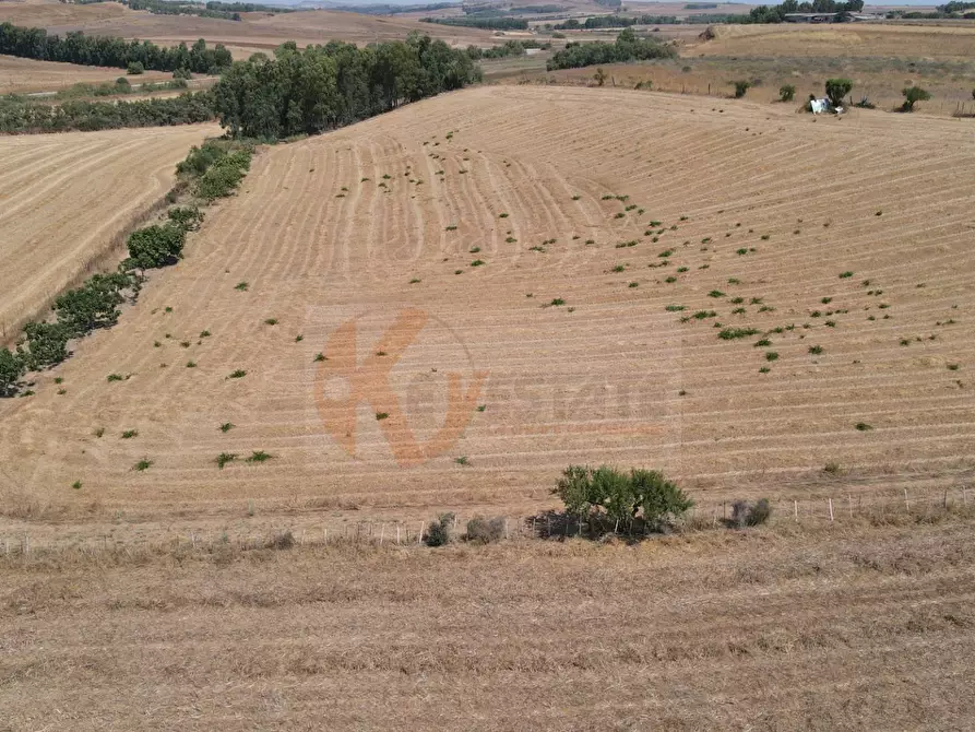 Immagine 10 di Terreno agricolo in vendita  in ss 128 snc a Monastir