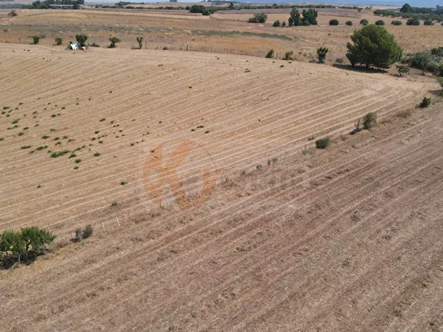 Immagine 11 di Terreno agricolo in vendita  in ss 128 snc a Monastir