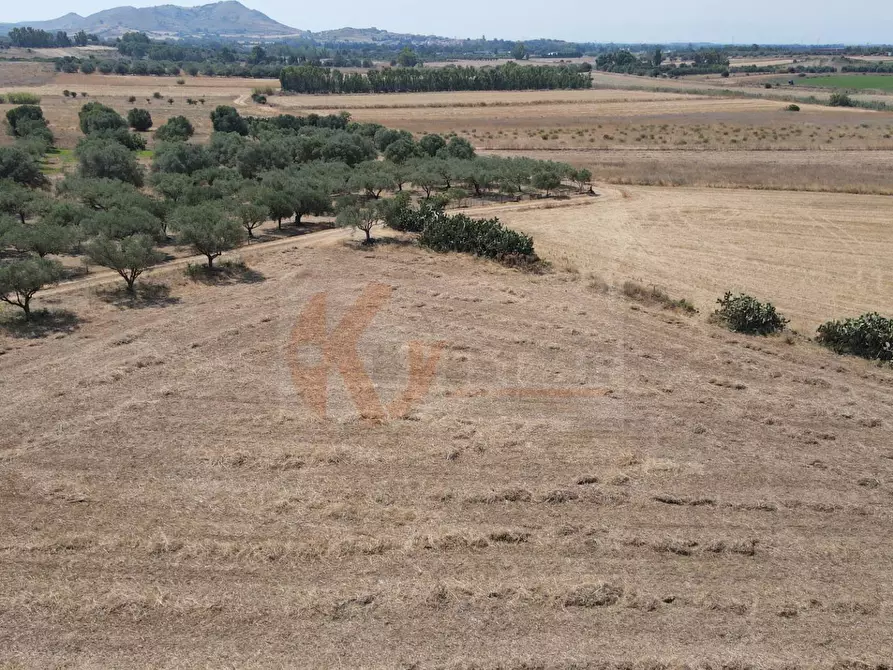 Immagine 12 di Terreno agricolo in vendita  in ss 128 snc a Monastir