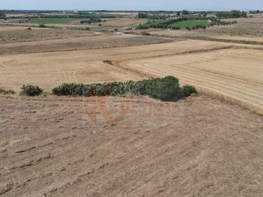 Immagine 13 di Terreno agricolo in vendita  in ss 128 snc a Monastir