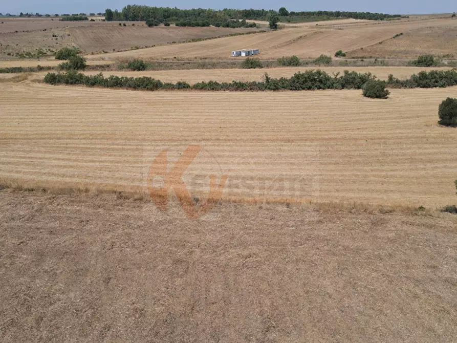 Immagine 14 di Terreno agricolo in vendita  in ss 128 snc a Monastir