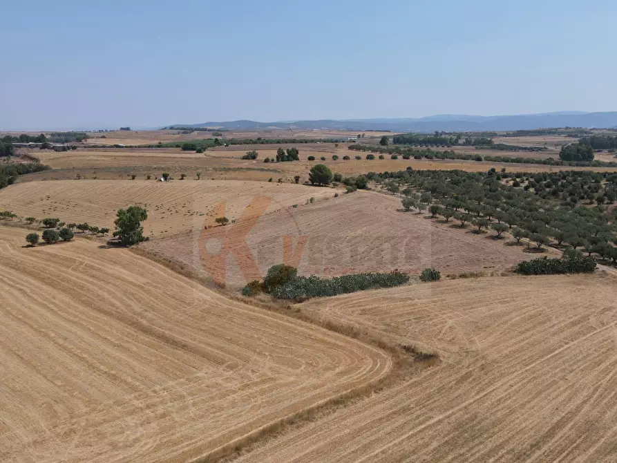 Immagine 15 di Terreno agricolo in vendita  in ss 128 snc a Monastir