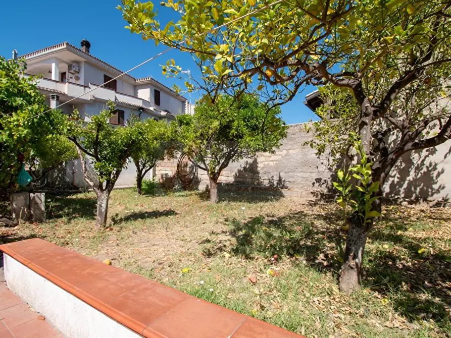 Immagine 15 di Cantina in vendita  in Via Mazzini 16 a Sassari