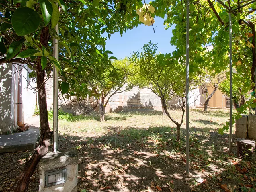 Immagine 17 di Cantina in vendita  in Via Mazzini 16 a Sassari