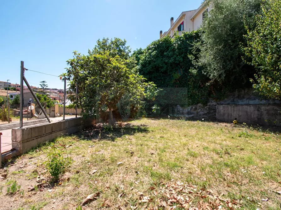 Immagine 25 di Cantina in vendita  in Via Mazzini 16 a Sassari