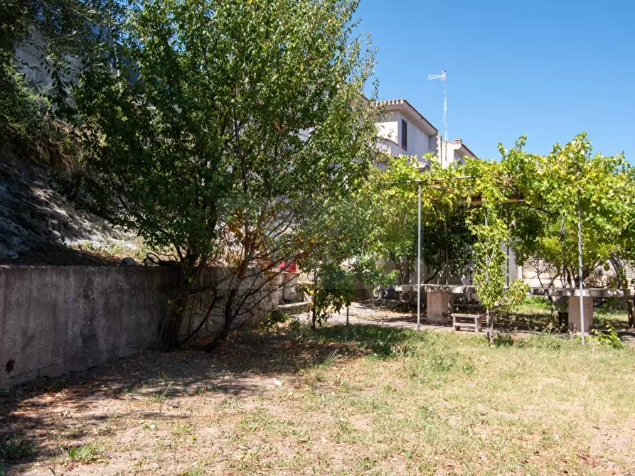 Immagine 28 di Cantina in vendita  in Via Mazzini 16 a Sassari