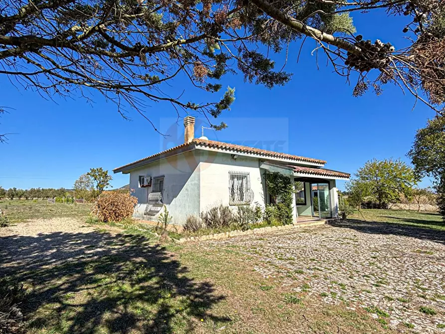 Immagine 9 di Villa in vendita  in Località Su Campu snc a Bonnanaro
