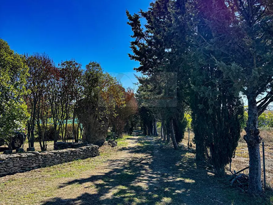 Immagine 14 di Villa in vendita  in Località Su Campu snc a Bonnanaro