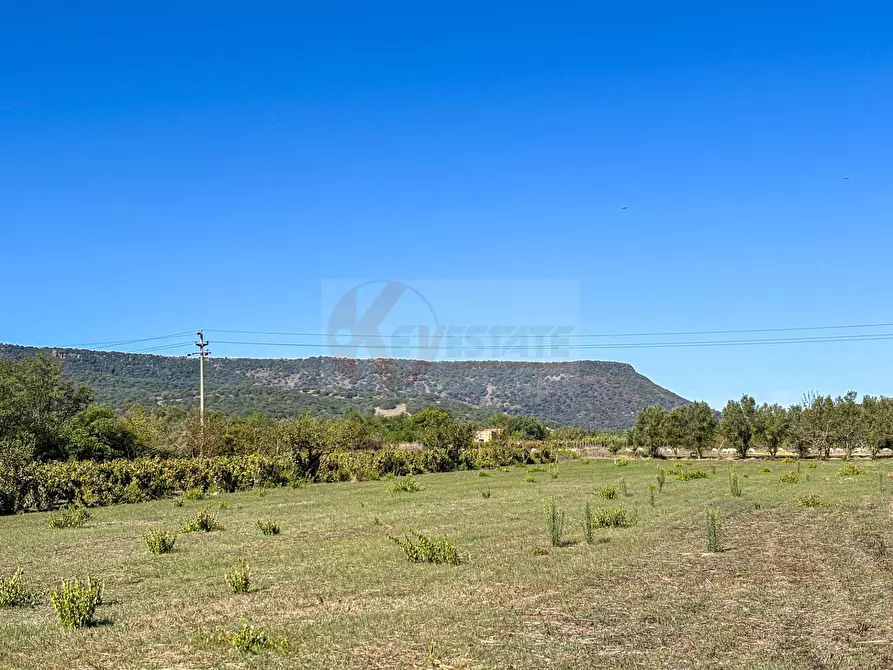 Immagine 17 di Villa in vendita  in Località Su Campu snc a Bonnanaro