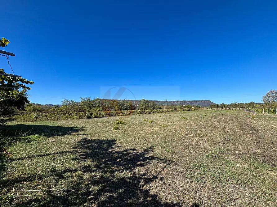 Immagine 18 di Villa in vendita  in Località Su Campu snc a Bonnanaro