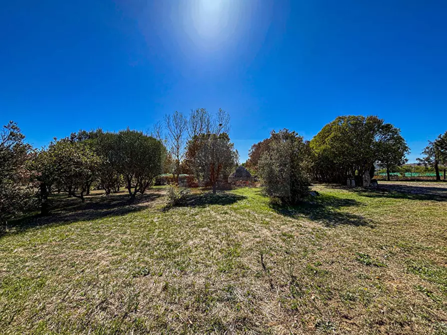 Immagine 21 di Villa in vendita  in Località Su Campu snc a Bonnanaro