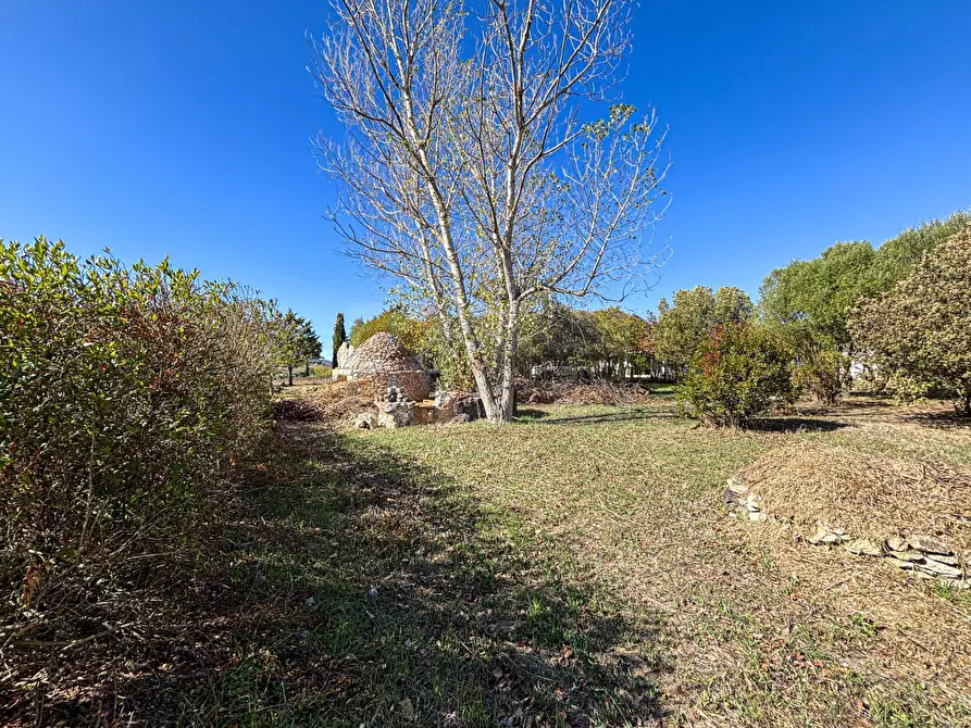 Immagine 24 di Villa in vendita  in Località Su Campu snc a Bonnanaro