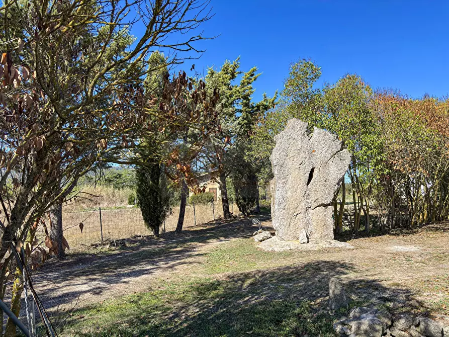 Immagine 29 di Villa in vendita  in Località Su Campu snc a Bonnanaro