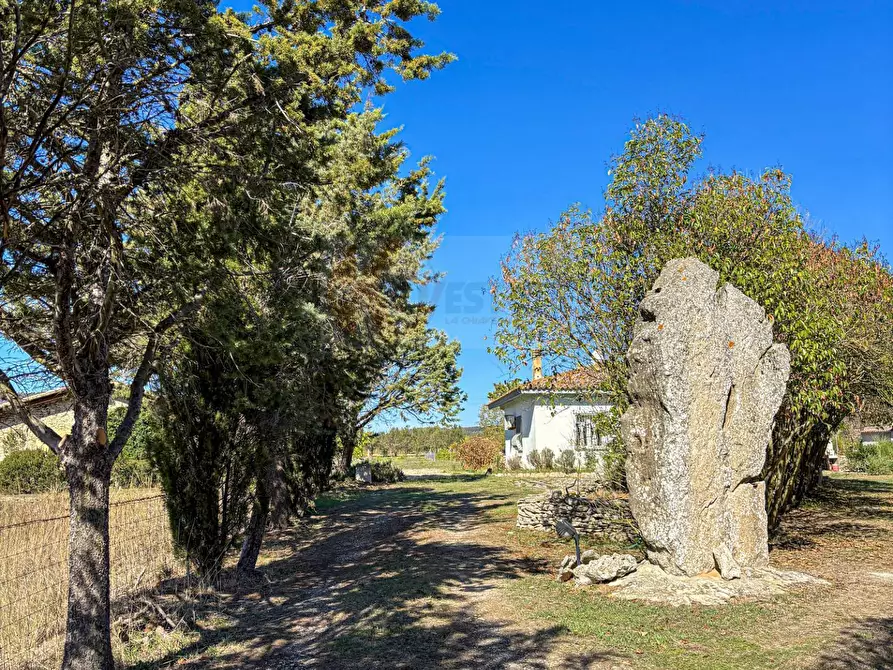 Immagine 30 di Villa in vendita  in Località Su Campu snc a Bonnanaro