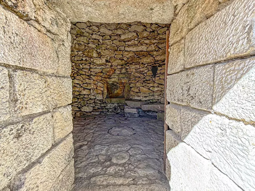 Immagine 28 di Villa in vendita  in Località Su Campu snc a Bonnanaro