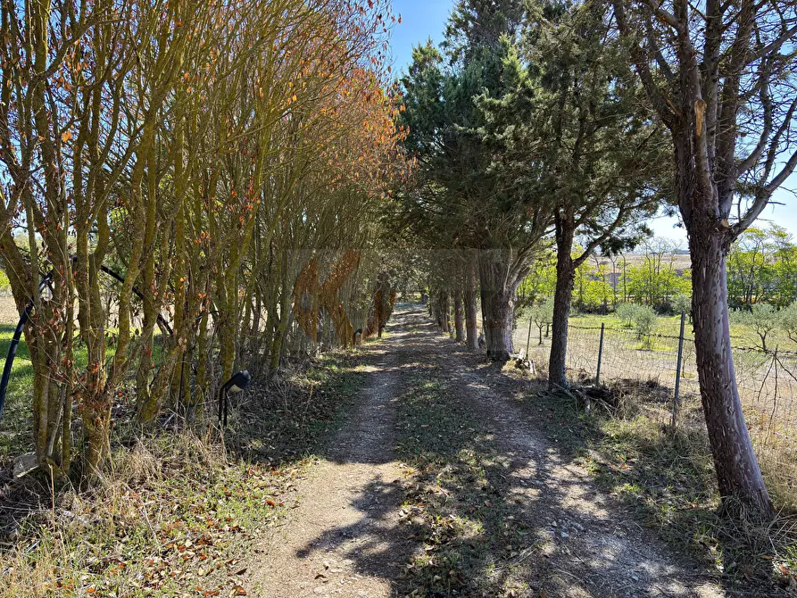 Immagine 33 di Villa in vendita  in Località Su Campu snc a Bonnanaro