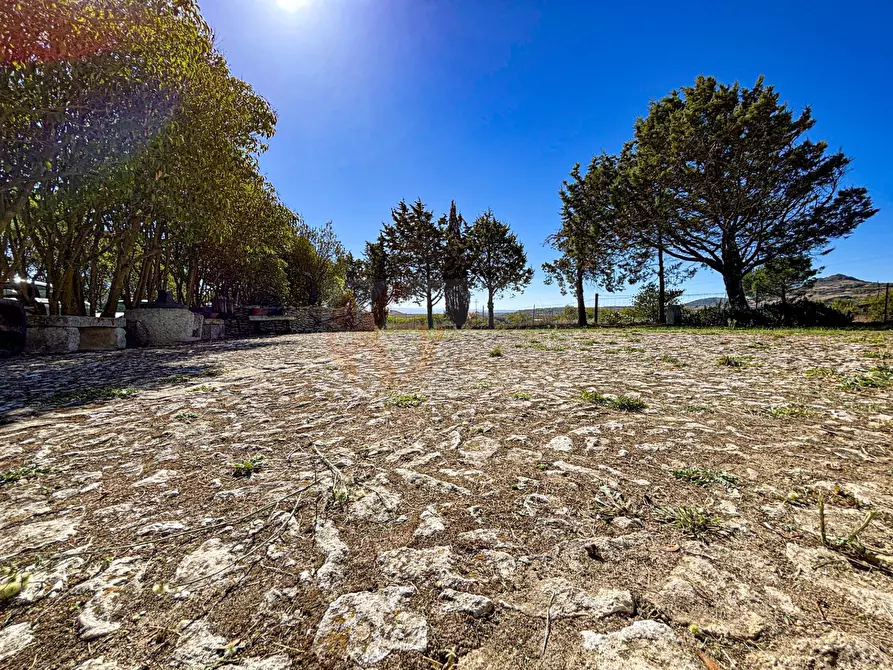 Immagine 12 di Villa in vendita  in Località Su Campu snc a Bonnanaro