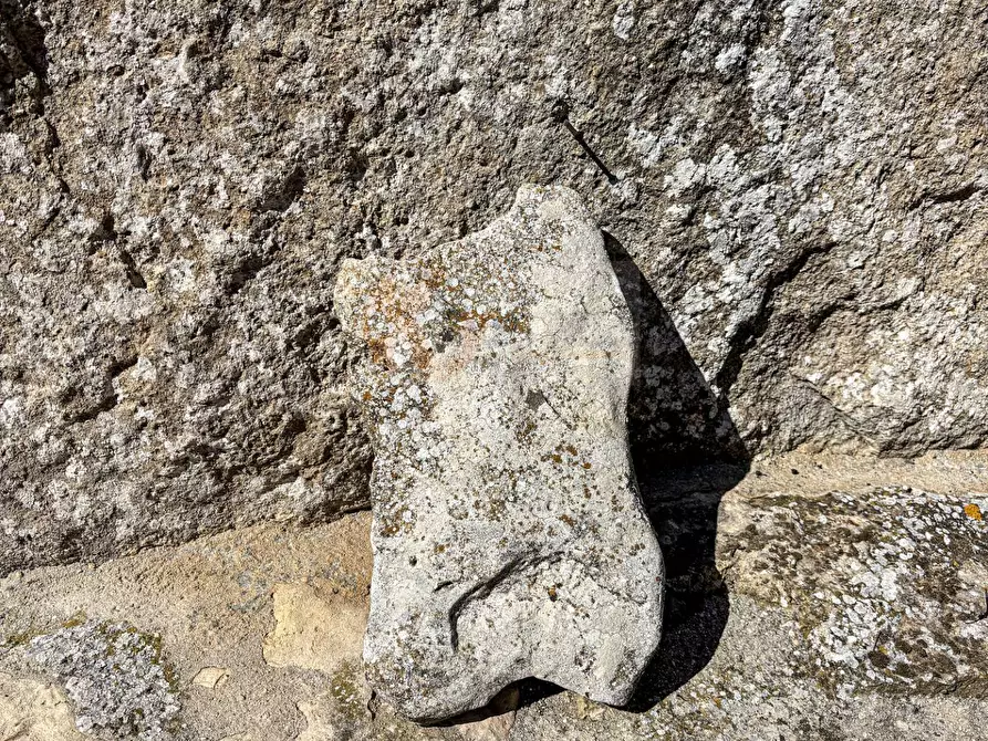 Immagine 34 di Villa in vendita  in Località Su Campu snc a Bonnanaro