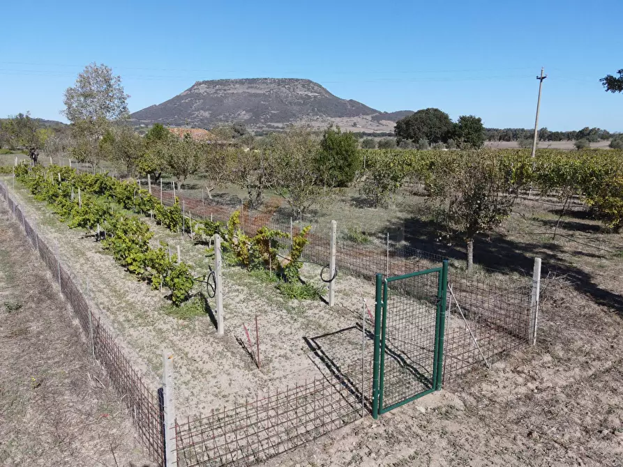 Immagine 39 di Villa in vendita  in Località Su Campu snc a Bonnanaro