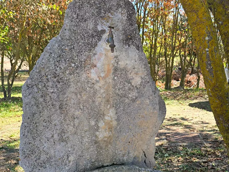 Immagine 44 di Villa in vendita  in Località Su Campu snc a Bonnanaro