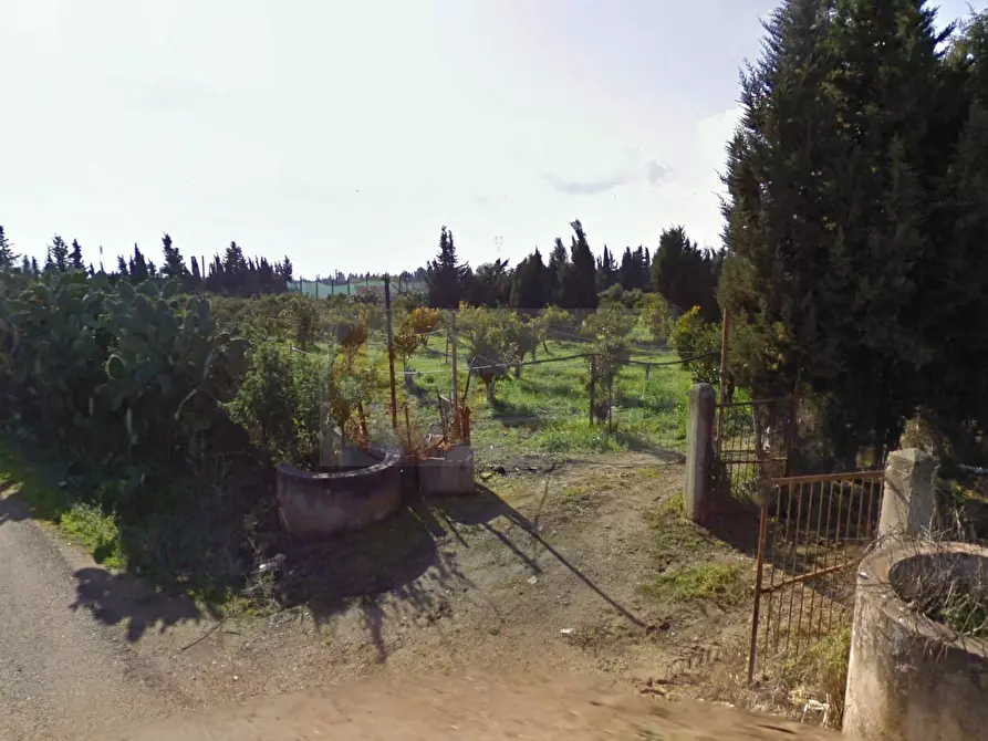 Immagine 7 di Terreno agricolo in vendita  in Bia Sa Laccana snc a Monastir