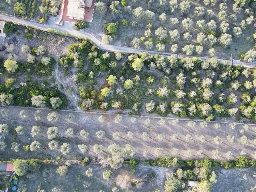 Immagine 34 di Villa in vendita  in Str. Vicinale Monte oro II traversa 13l a Sassari