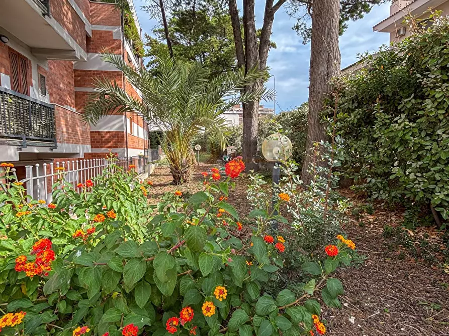 Immagine 25 di Appartamento in vendita  in via Nieddu 4 a Sassari