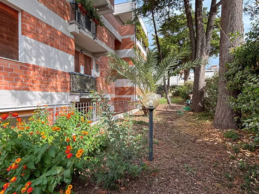 Immagine 26 di Appartamento in vendita  in via Nieddu 4 a Sassari