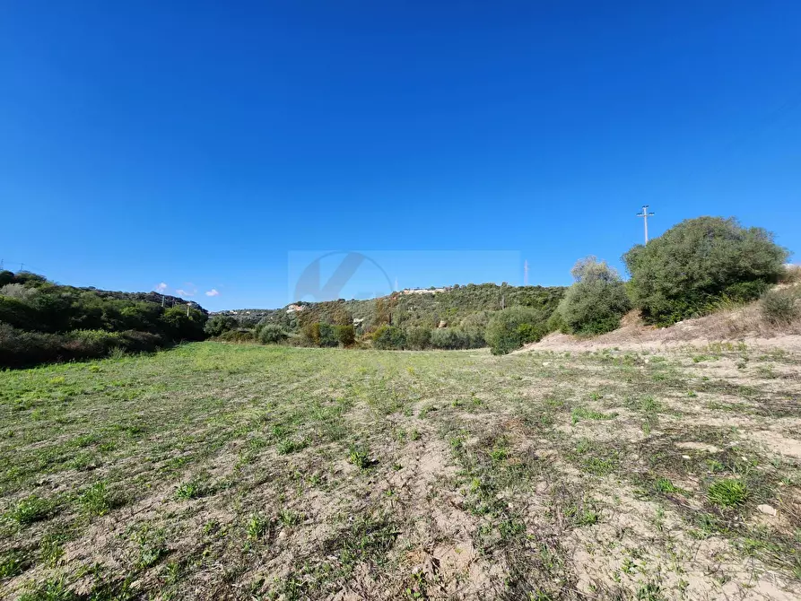 Immagine 2 di Terreno agricolo in vendita  in Monti di Mannu a Sassari