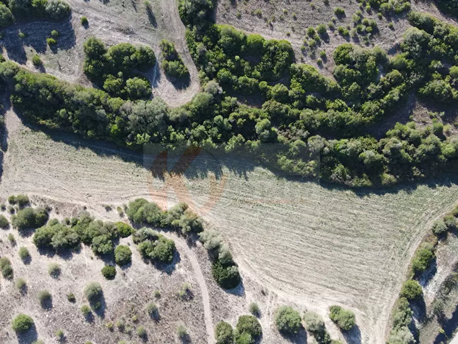 Immagine 3 di Terreno agricolo in vendita  in Monti di Mannu a Sassari