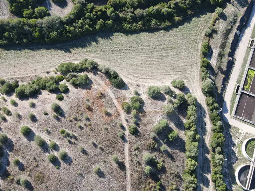 Immagine 4 di Terreno agricolo in vendita  in Monti di Mannu a Sassari