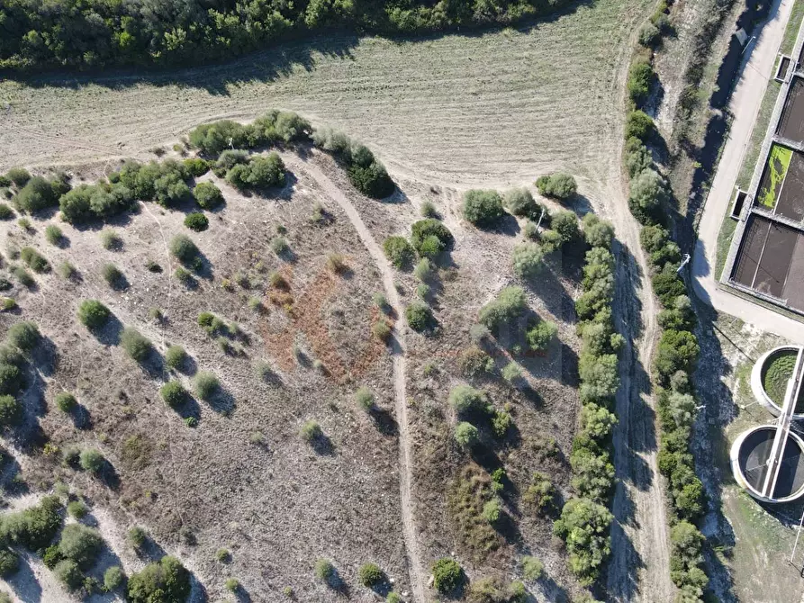 Immagine 5 di Terreno agricolo in vendita  in Monti di Mannu a Sassari