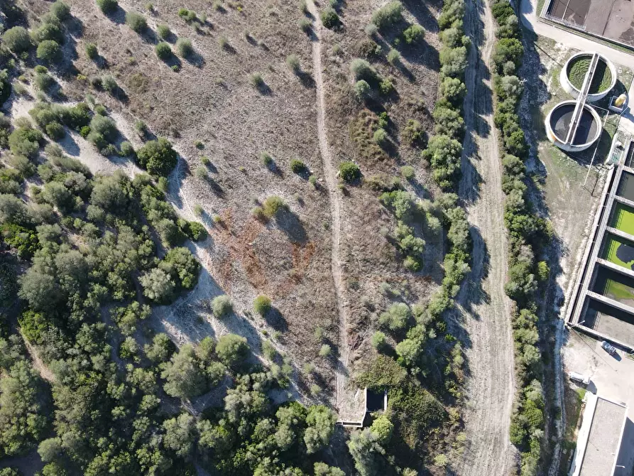 Immagine 6 di Terreno agricolo in vendita  in Monti di Mannu a Sassari