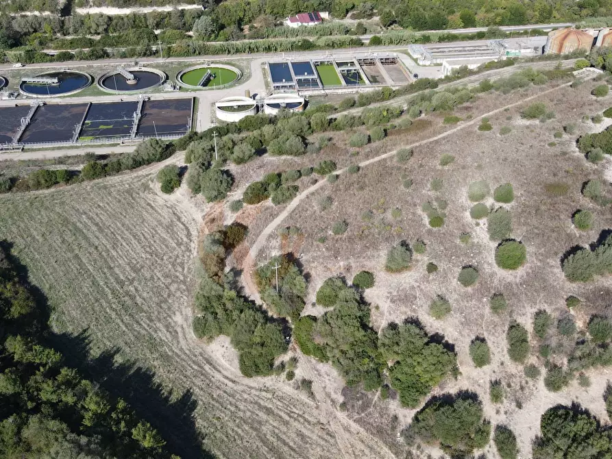 Immagine 8 di Terreno agricolo in vendita  in Monti di Mannu a Sassari