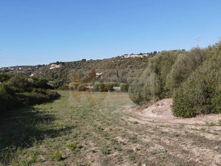 Immagine 9 di Terreno agricolo in vendita  in Monti di Mannu a Sassari