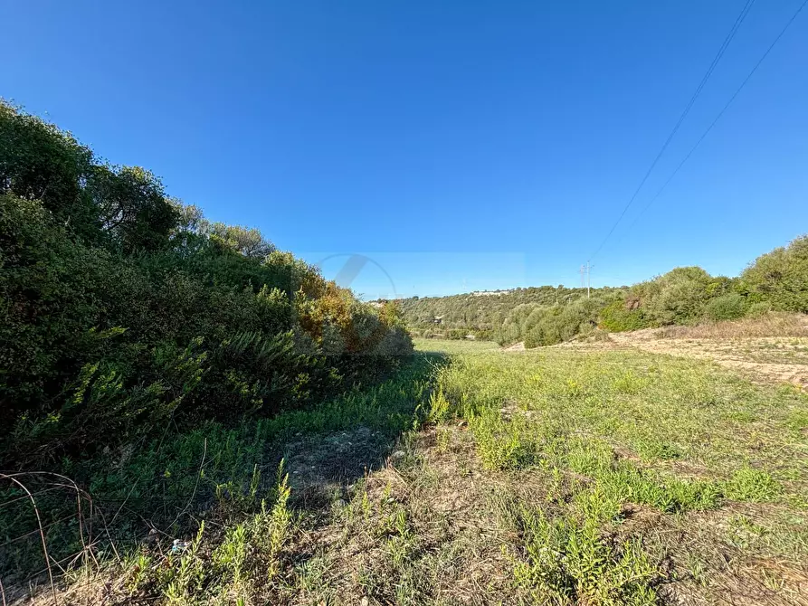Immagine 10 di Terreno agricolo in vendita  in Monti di Mannu a Sassari