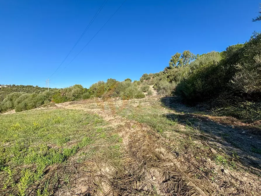 Immagine 11 di Terreno agricolo in vendita  in Monti di Mannu a Sassari