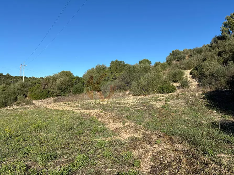 Immagine 12 di Terreno agricolo in vendita  in Monti di Mannu a Sassari